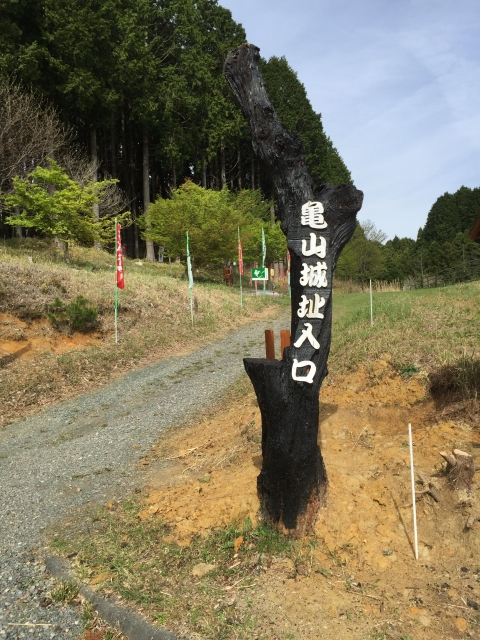 亀山城 (三河国)、作手城 愛知県